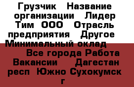 Грузчик › Название организации ­ Лидер Тим, ООО › Отрасль предприятия ­ Другое › Минимальный оклад ­ 16 700 - Все города Работа » Вакансии   . Дагестан респ.,Южно-Сухокумск г.